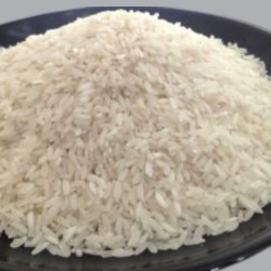 PR 47 Non basmati Rice